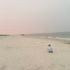 paradisefreedom